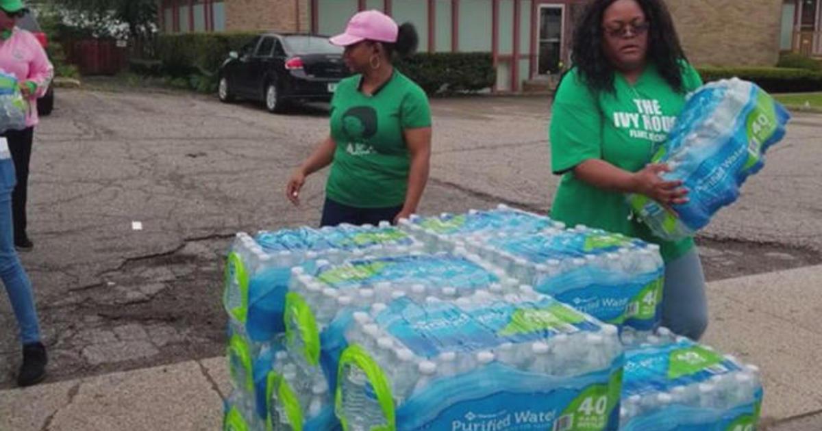 Alpha Kappa Alpha Chapter In Flint, Michigan Raises $20,000 To Help Combat The City’s Ongoing Water Crisis