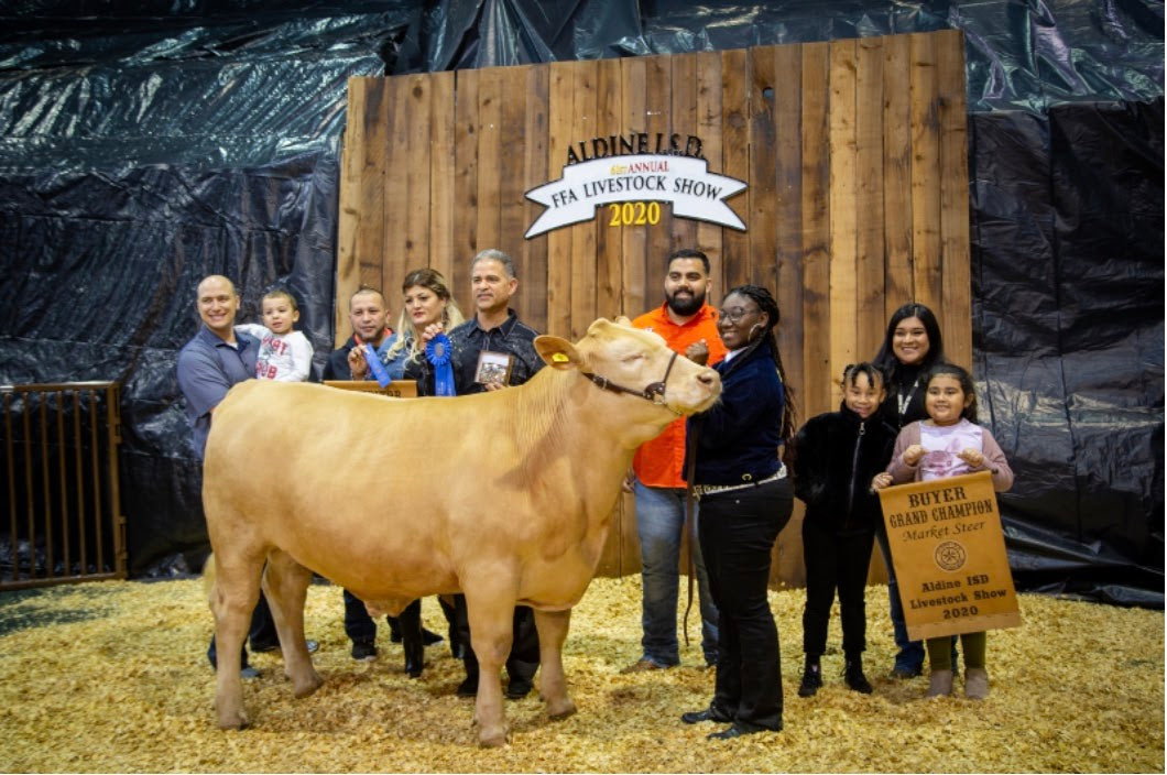 Texas High School Student Makes History By Winning Grand Champion Prize With Her Steer
