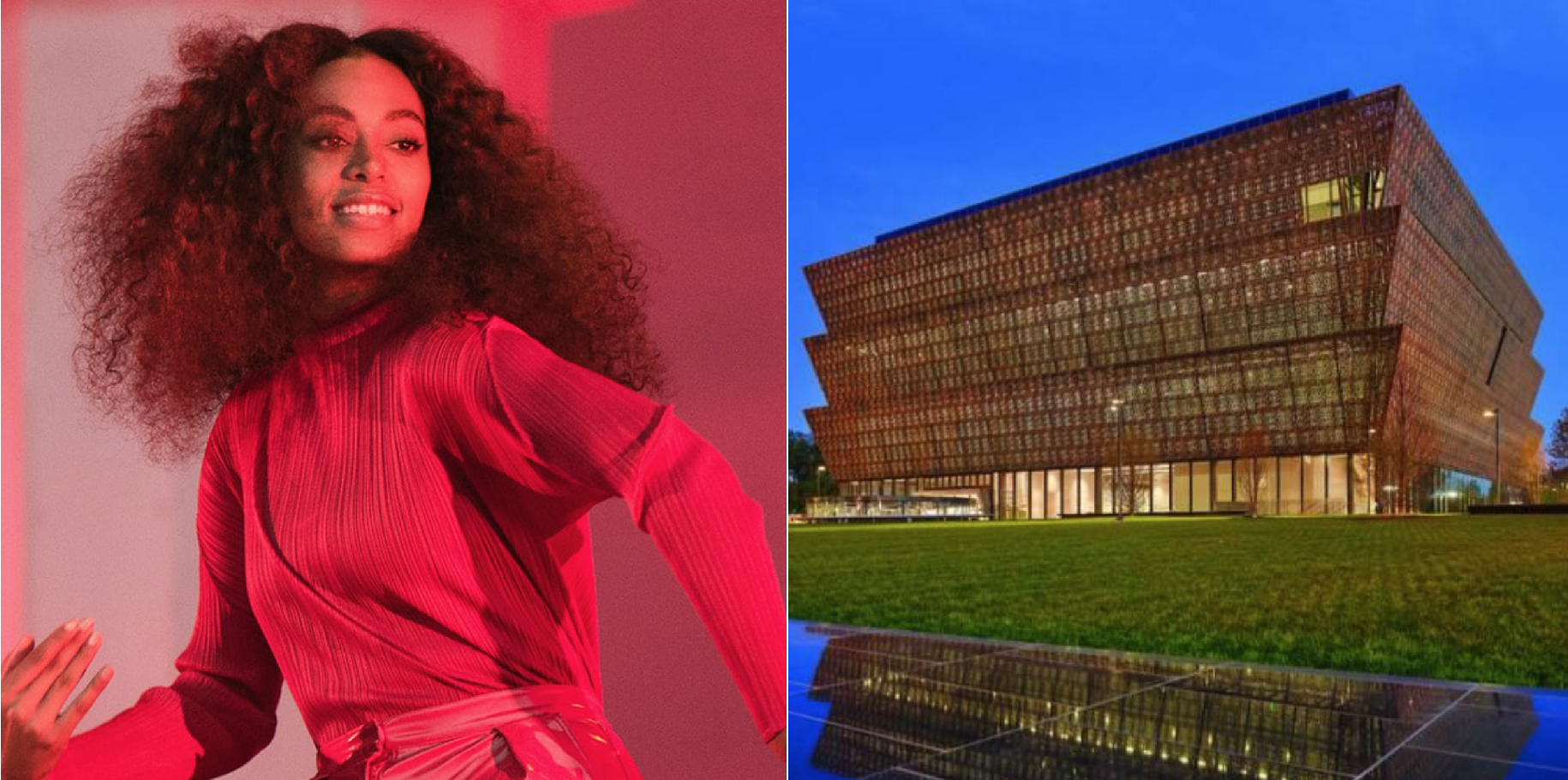 Solange Partners With Project Row Houses To Send Houston Students To The National Museum Of African American History And Culture