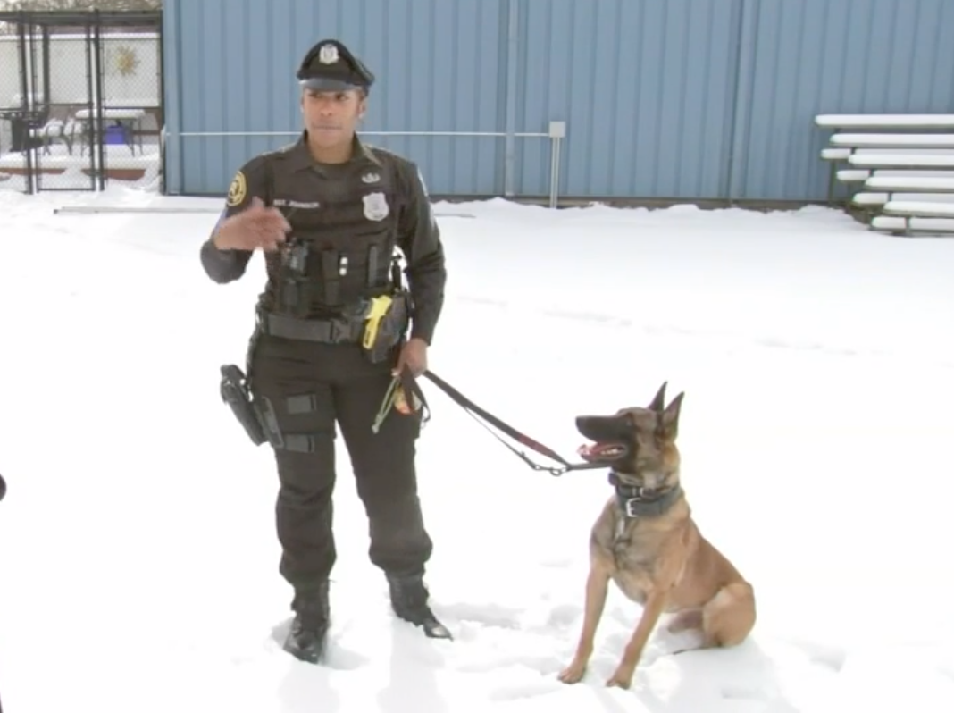 Meet Sharone Johnson, Philadelphia’s First Black Woman K-9 Sergeant