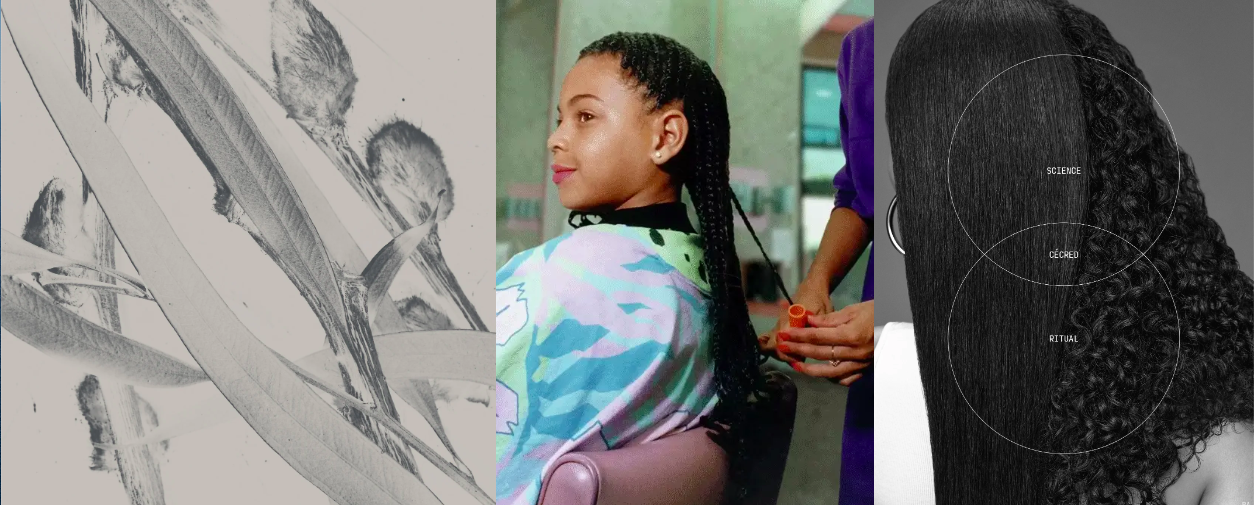 Beyoncé Releases New Haircare Line Cécred